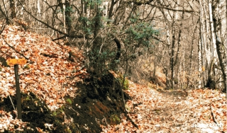 Chemin d’accès à l’endroit où « Mario » a été tué.