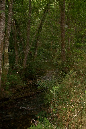 le ruisseau avant le moulin